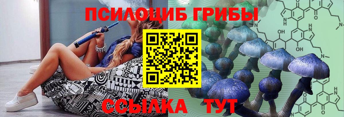 Унеча  Галлюциногенные грибы MAGIC MUSHROOMS  Вход с VPN 